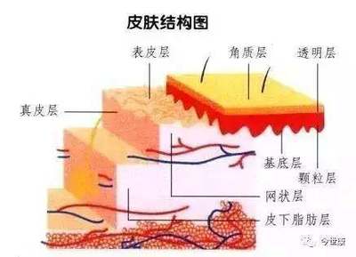 揭开角质的神秘面纱 去角质会让皮肤变薄吗？